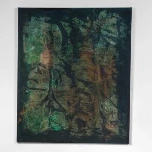 anthomedesign.hu - Erdő mélyén